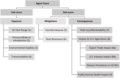 Application of multi-criteria decision analysis techniques and decision support framework for informing plant select agent designation and decision making